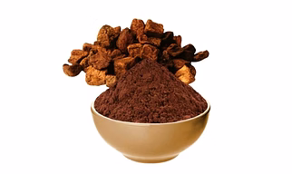 Chicory powder