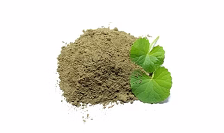 Mandukparni powder