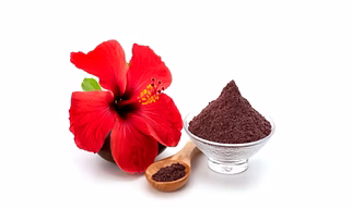 Hibiscus powder