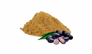 Jamun seed powder