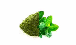 Mint leaves powder