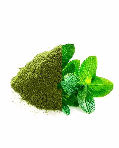 Mint leaves powder-12450560
