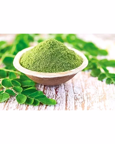 Moringa leaves powder-12450562