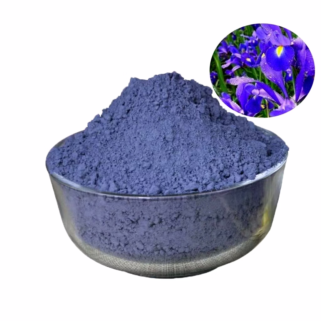 natural indigo powder