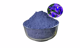 Natural indigo powder
