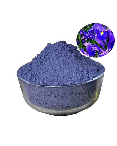 Natural indigo powder-12450566