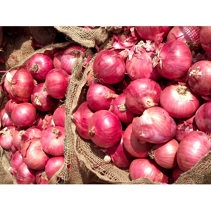 RED ONION-12450844
