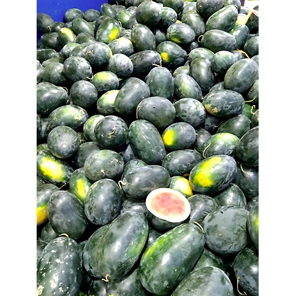 Watermelon-12450850