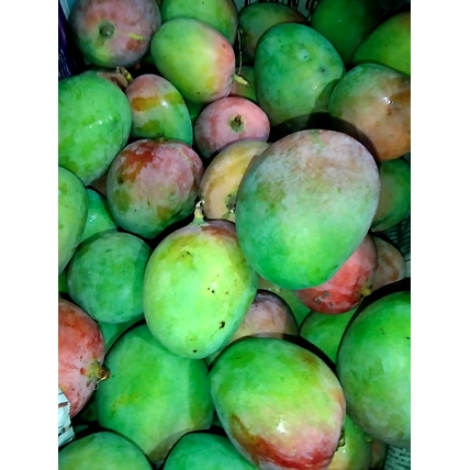 Indian Mango-12450852