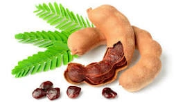 Tamarind with seed-2