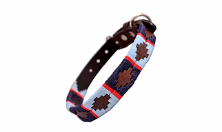 DOG COLLARS
