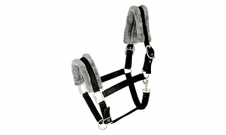 HALTERS