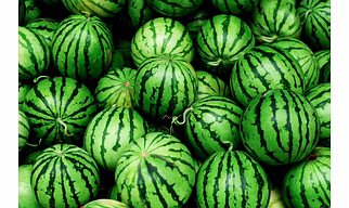 Watermelon