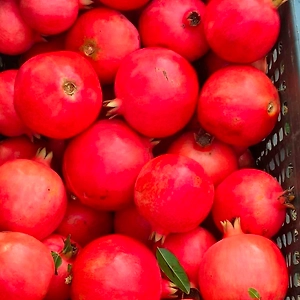 Pomegranates