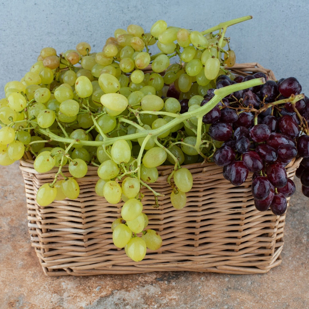 Grapes-1003