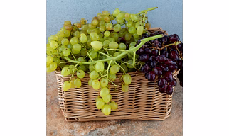 Grapes