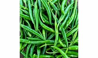Green Chilli