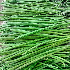 Drumstick