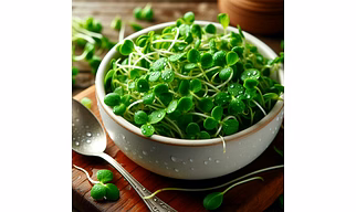 Alfalfa Powder