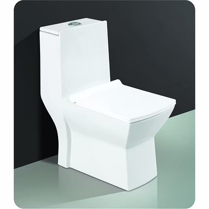 One Piece Toilet Seat-3
