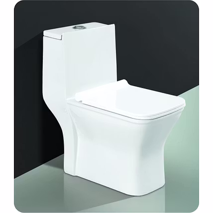 One Piece Toilet Seat-4