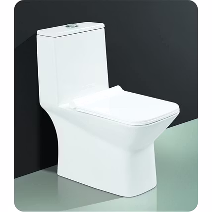 One Piece Toilet Seat-2