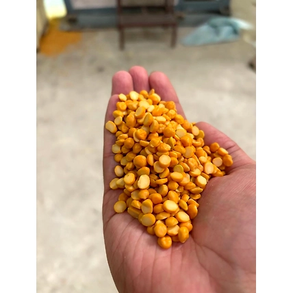 Chana Dal / Split Chickpea-2