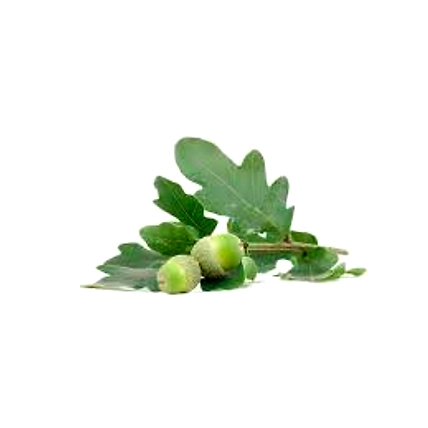 Oak Extract &amp; Barrels-2