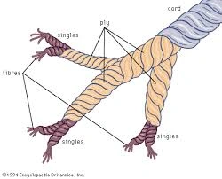 Yarn(Combed/Carded)-1