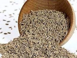 Cumin seeds-1