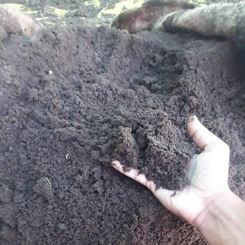 VERMICOMPOST-12454322