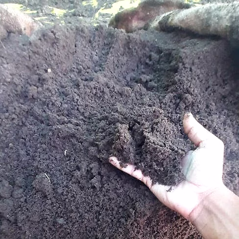 VERMI COMPOST image 1