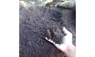 VERMI COMPOST
