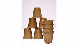 Matigo Bio-Degradable Tea Cups