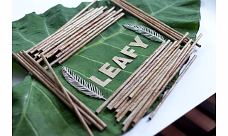 Matigo Leafy Straws