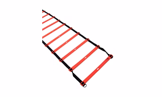 AGILITY LADDER