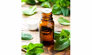 Peppermint Oil