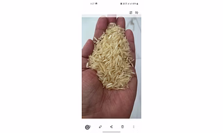 1121 basmati rice