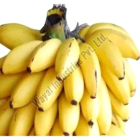 Fresh G9 Banana