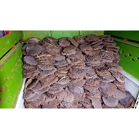 Cow Dung Cake