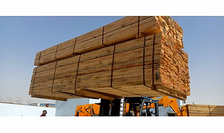 Pine wood