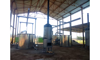 Needles & Twigs Distillation Plants