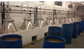 Seeds & Berries Distillation Plants