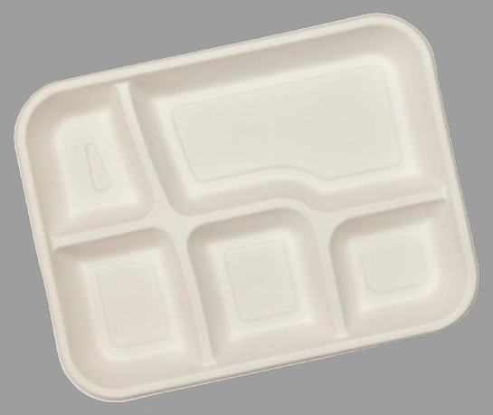 5-COMPARTMENT SQUARE MEAL TRAY-1