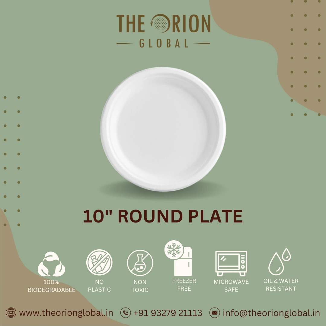 10&quot; ROUND PLATE-12518266