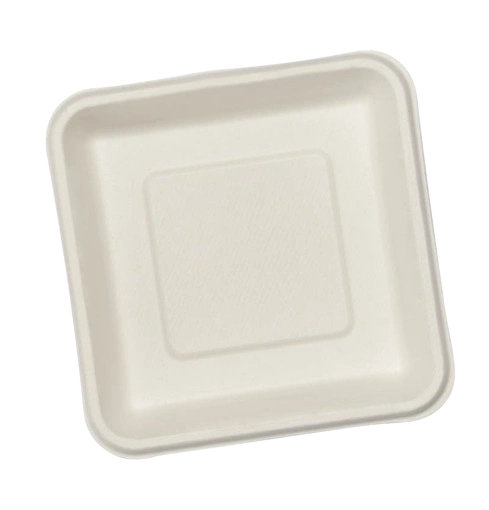 6 INCH SQUARE PLATE-1