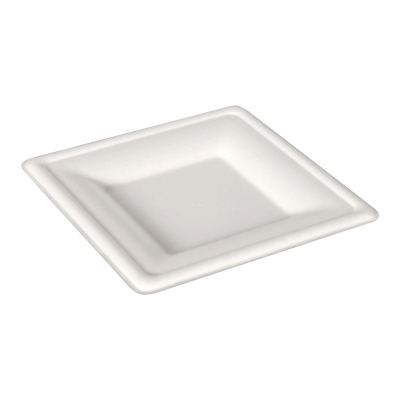 6 INCH SQUARE PLATE-2