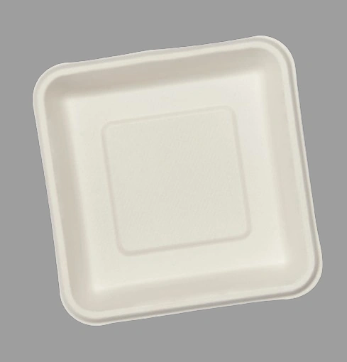 6 INCH SQUARE PLATE-3