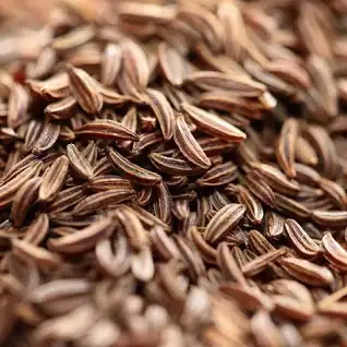 Cumin Seed-12458411