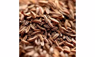Cumin Seed